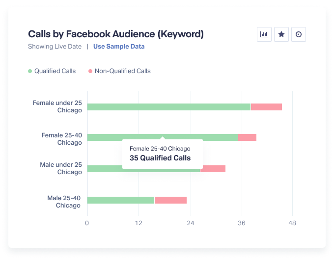 Calls by Facebook Audience Keyword in WhatConverts